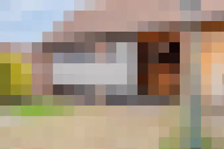 Krabbenbosweg 130 Hengelo thumbnail 37