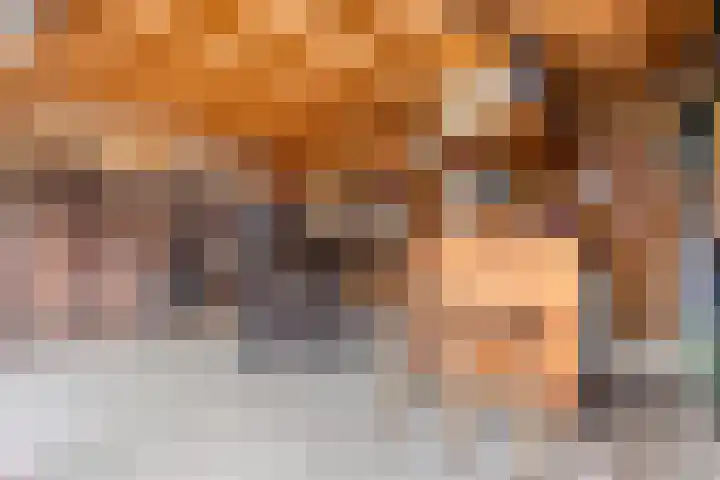 Krabbenbosweg 130 Hengelo thumbnail 38
