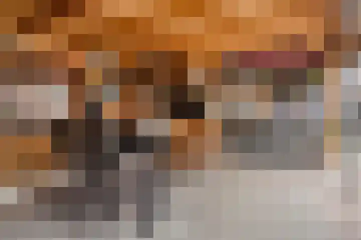 Krabbenbosweg 130 Hengelo thumbnail 39
