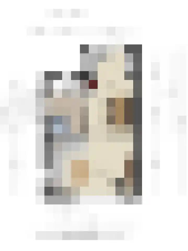 Krabbenbosweg 130 Hengelo thumbnail 47