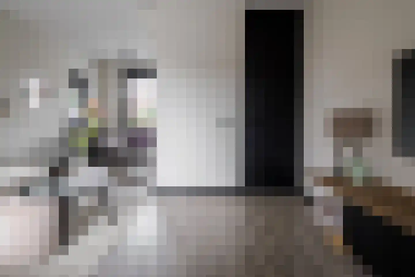 Krabbenbosweg 169 Hengelo thumbnail 10