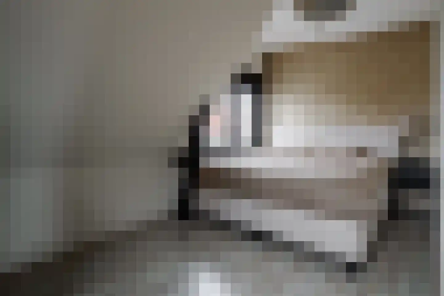 Krabbenbosweg 169 Hengelo thumbnail 20