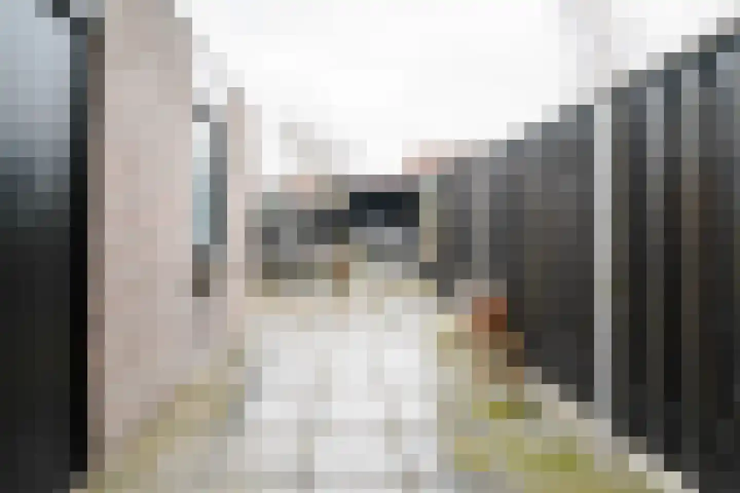 Krabbenbosweg 169 Hengelo thumbnail 23