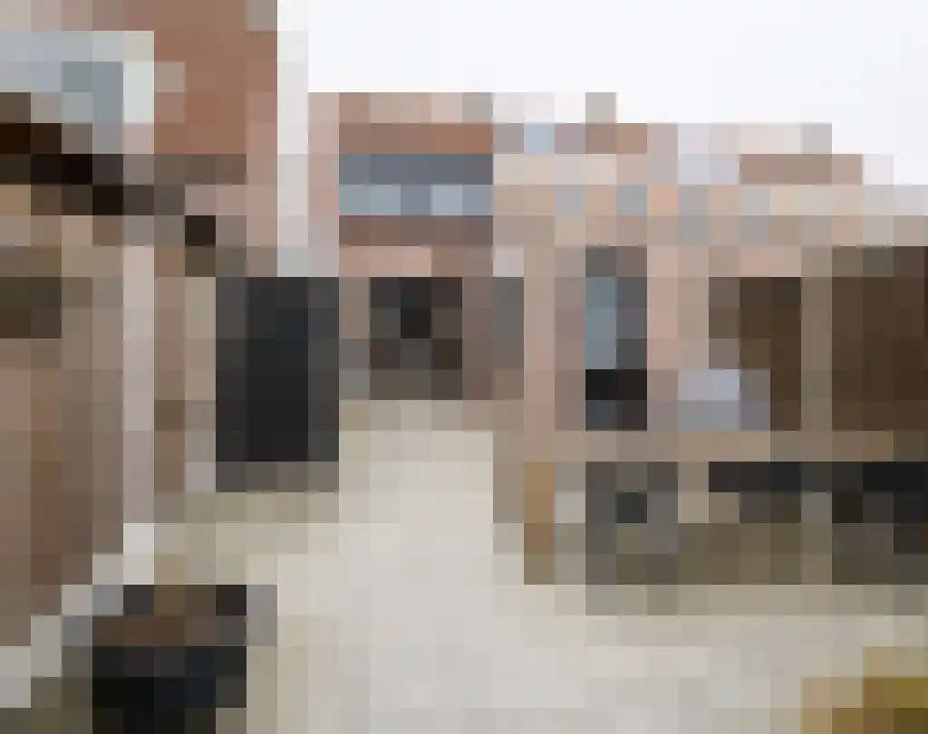 Krabbenbosweg 169 Hengelo thumbnail 25