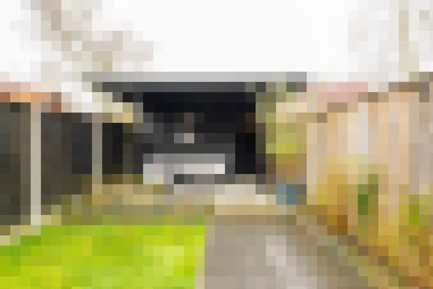 Krabbenbosweg 169 Hengelo thumbnail 26