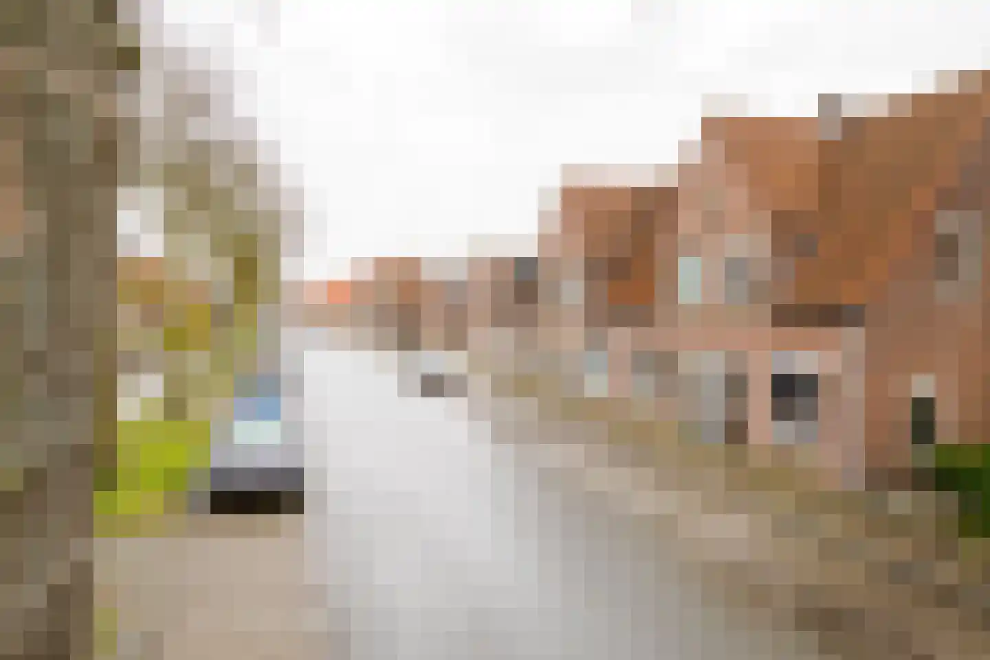 Krabbenbosweg 169 Hengelo thumbnail 28