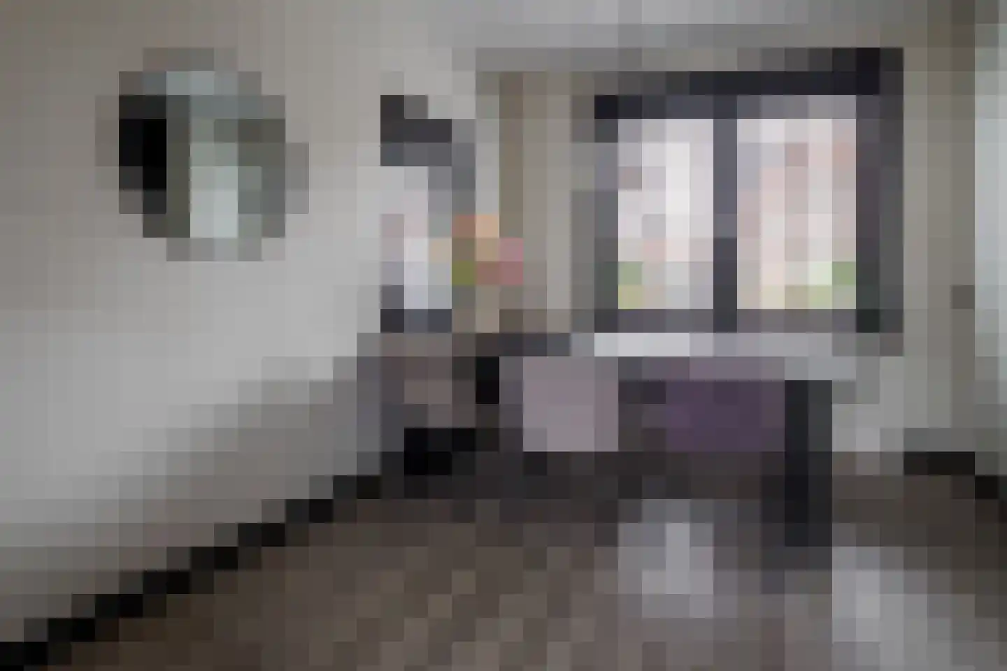 Krabbenbosweg 169 Hengelo thumbnail 5
