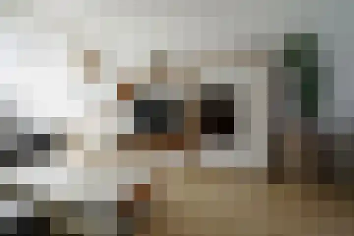 Krabbenbosweg 28 Hengelo thumbnail 12