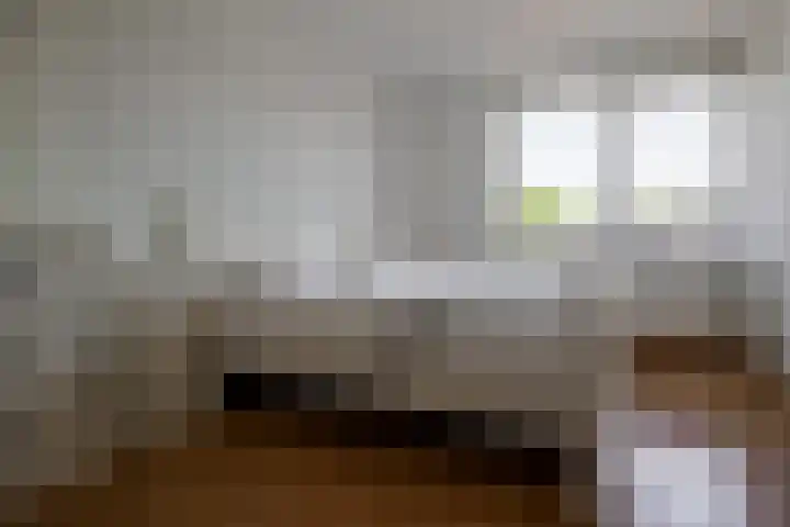 Krabbenbosweg 28 Hengelo thumbnail 29