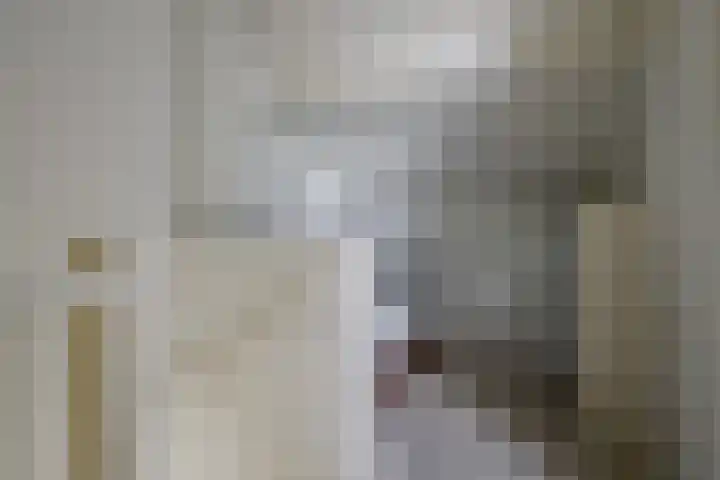 Krabbenbosweg 28 Hengelo thumbnail 32