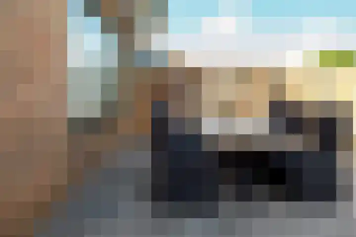 Krabbenbosweg 28 Hengelo thumbnail 35