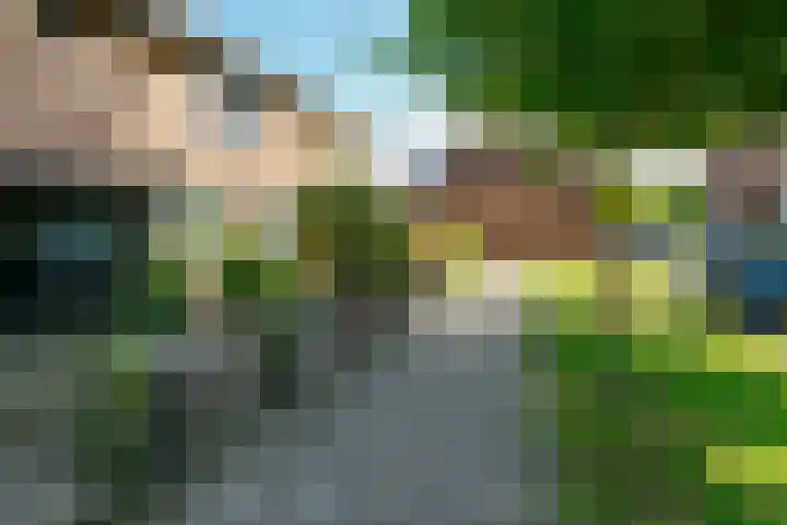 Krabbenbosweg 28 Hengelo thumbnail 6