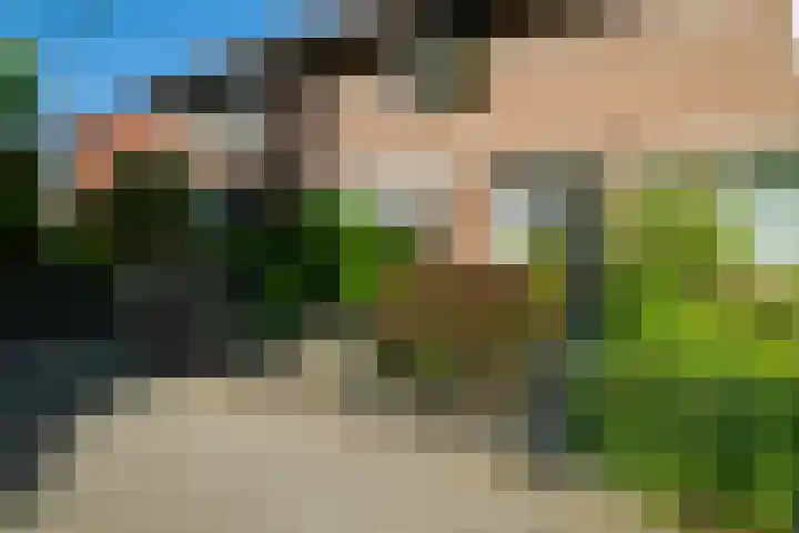 Krabbenbosweg 28 Hengelo thumbnail 8