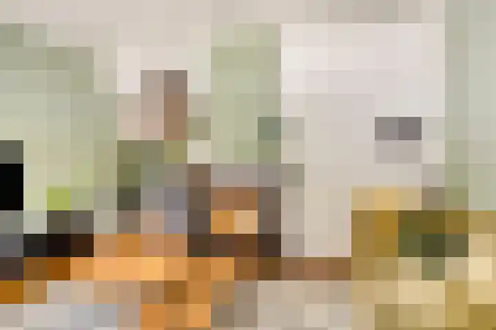 Krabbenbosweg 290 Hengelo thumbnail 14