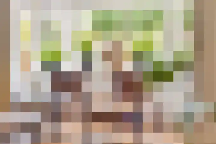 Krabbenbosweg 290 Hengelo thumbnail 16