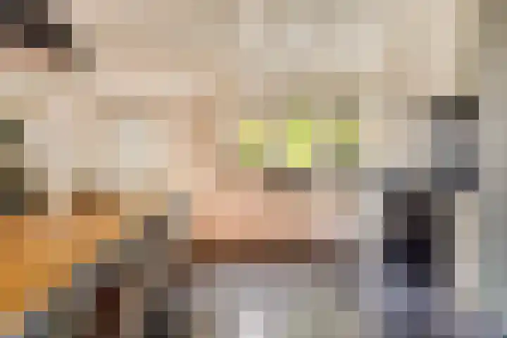 Krabbenbosweg 290 Hengelo thumbnail 24