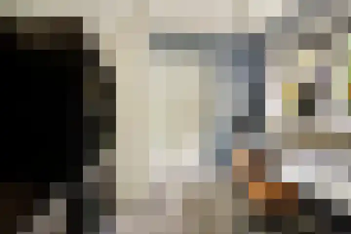 Krabbenbosweg 290 Hengelo thumbnail 32