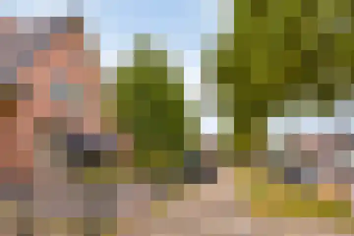 Krabbenbosweg 290 Hengelo thumbnail 4