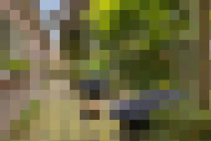 Krabbenbosweg 290 Hengelo thumbnail 41