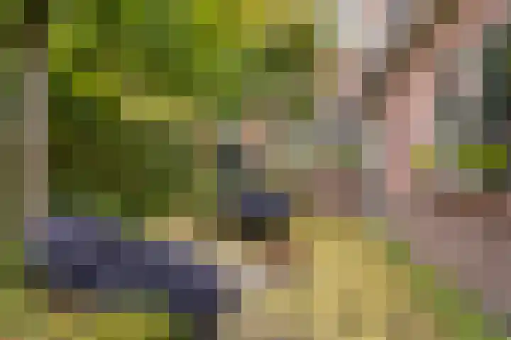 Krabbenbosweg 290 Hengelo thumbnail 42