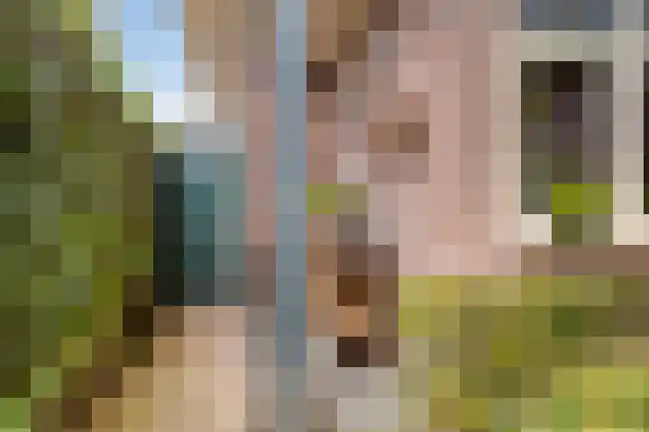 Krabbenbosweg 290 Hengelo thumbnail 43