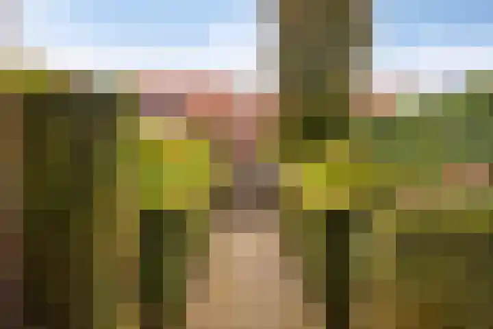 Krabbenbosweg 290 Hengelo thumbnail 45