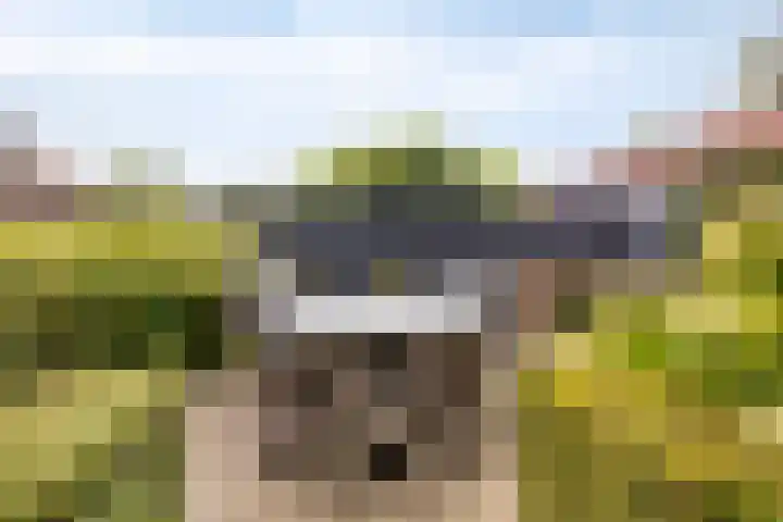Krabbenbosweg 290 Hengelo thumbnail 46