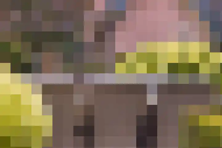 Krabbenbosweg 290 Hengelo thumbnail 47
