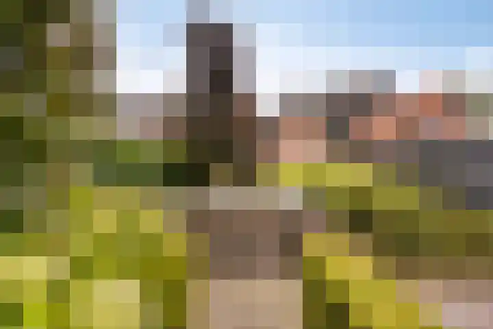 Krabbenbosweg 290 Hengelo thumbnail 49