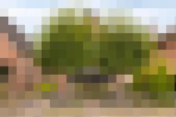 Krabbenbosweg 290 Hengelo thumbnail 5