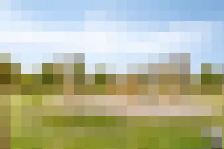 Krabbenbosweg 290 Hengelo thumbnail 50