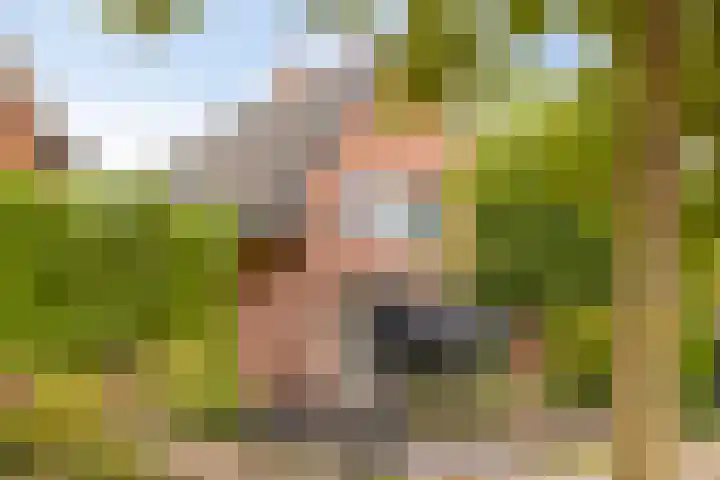 Krabbenbosweg 290 Hengelo thumbnail 6