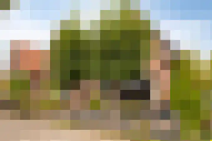 Krabbenbosweg 290 Hengelo thumbnail 7