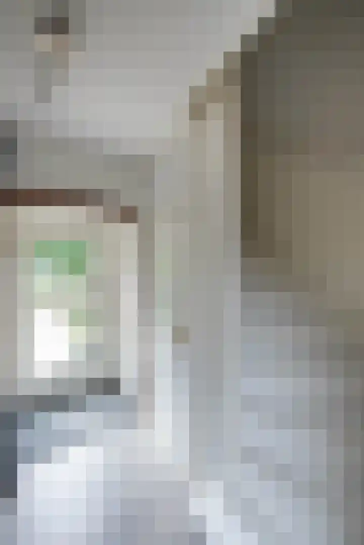 Krabbenbosweg 4 A Hengelo thumbnail 15