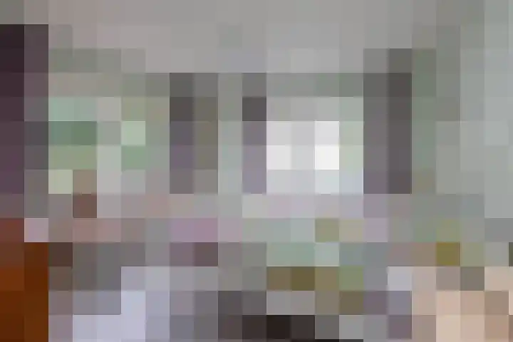 Krabbenbosweg 4 A Hengelo thumbnail 16