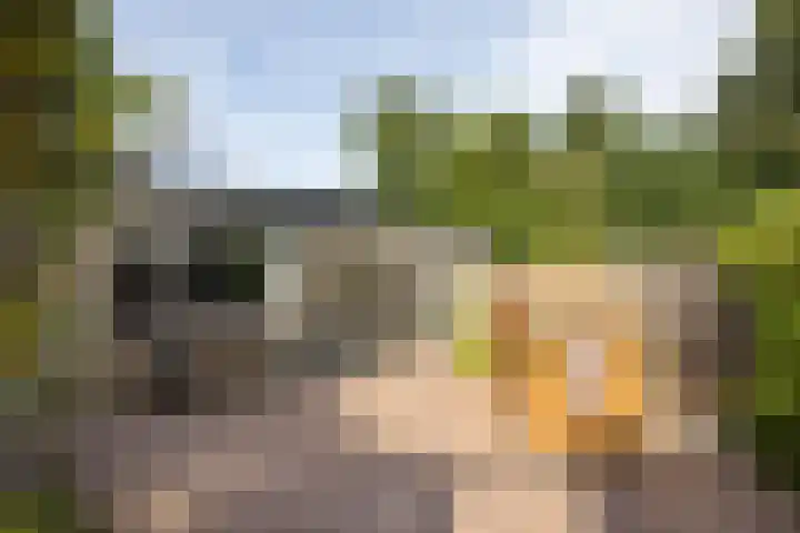 Krabbenbosweg 4 A Hengelo thumbnail 22
