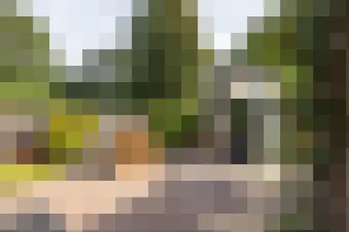 Krabbenbosweg 4 A Hengelo thumbnail 23