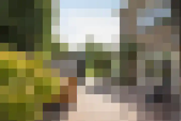 Krabbenbosweg 4 A Hengelo thumbnail 24