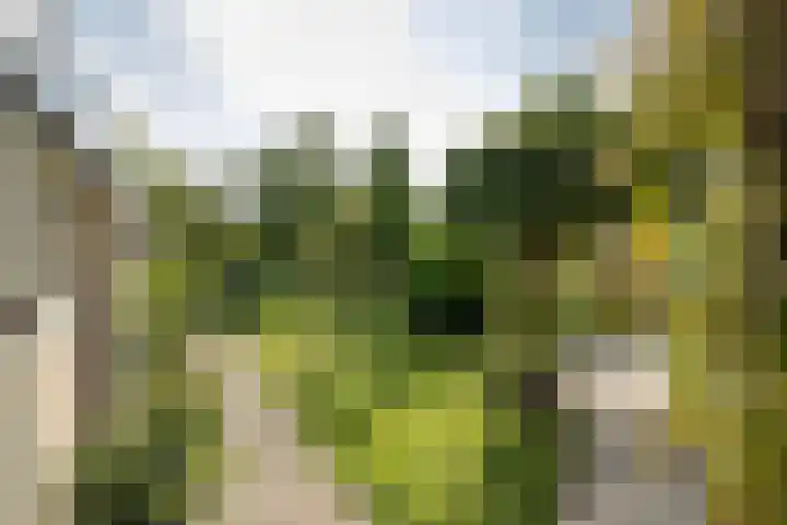Krabbenbosweg 4 A Hengelo thumbnail 25