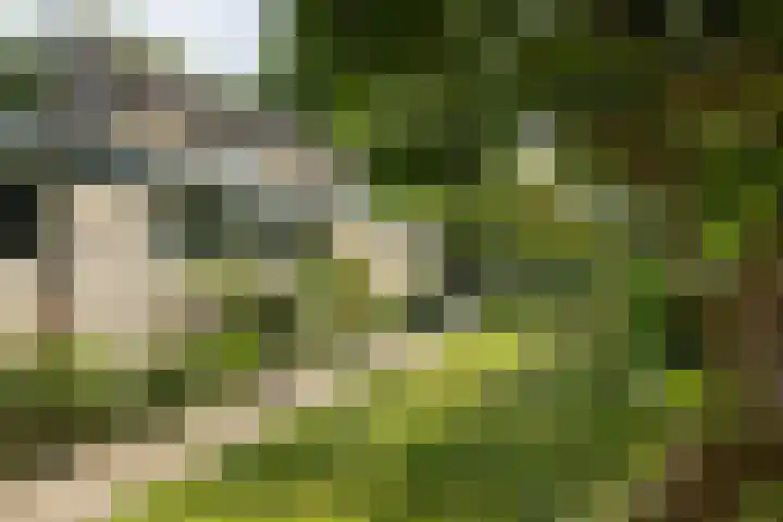 Krabbenbosweg 4 A Hengelo thumbnail 26