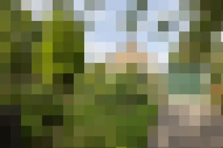Krabbenbosweg 4 A Hengelo thumbnail 27