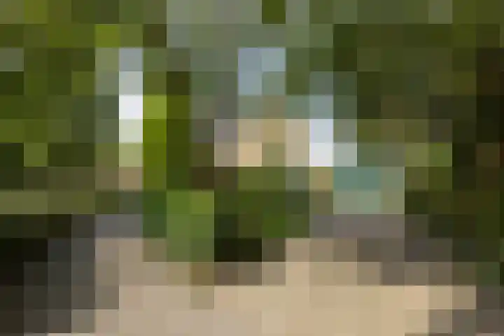 Krabbenbosweg 4 A Hengelo thumbnail 28