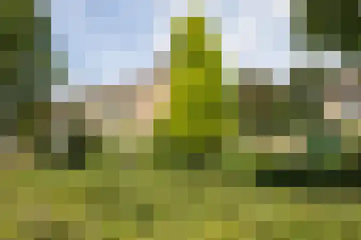 Krabbenbosweg 4 A Hengelo thumbnail 29