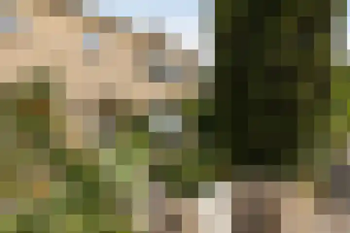 Krabbenbosweg 4 A Hengelo thumbnail 30