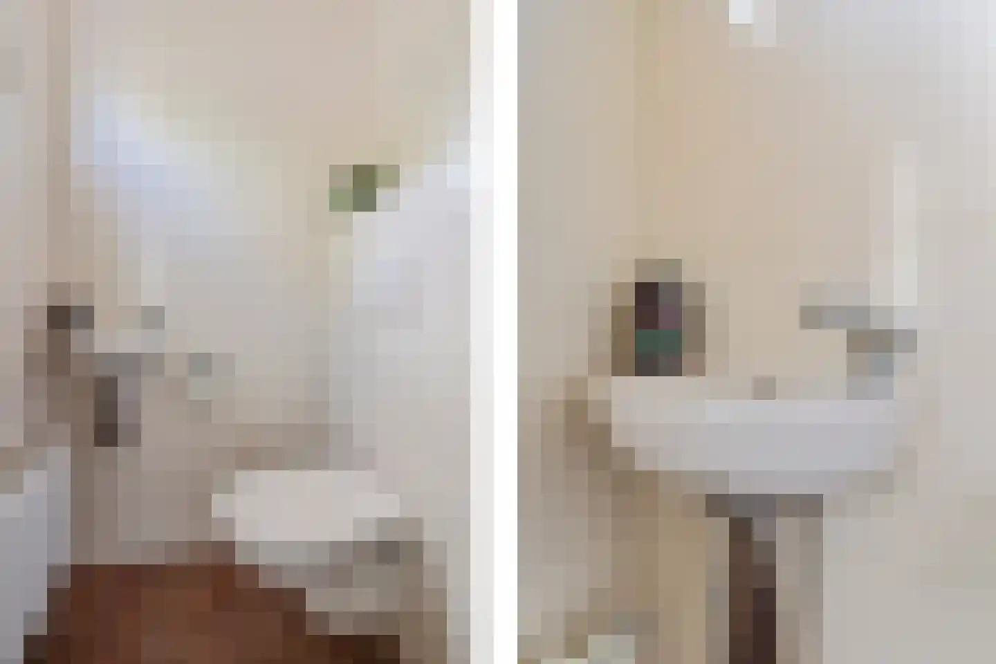 Krabbenbosweg 51 Hengelo thumbnail 11