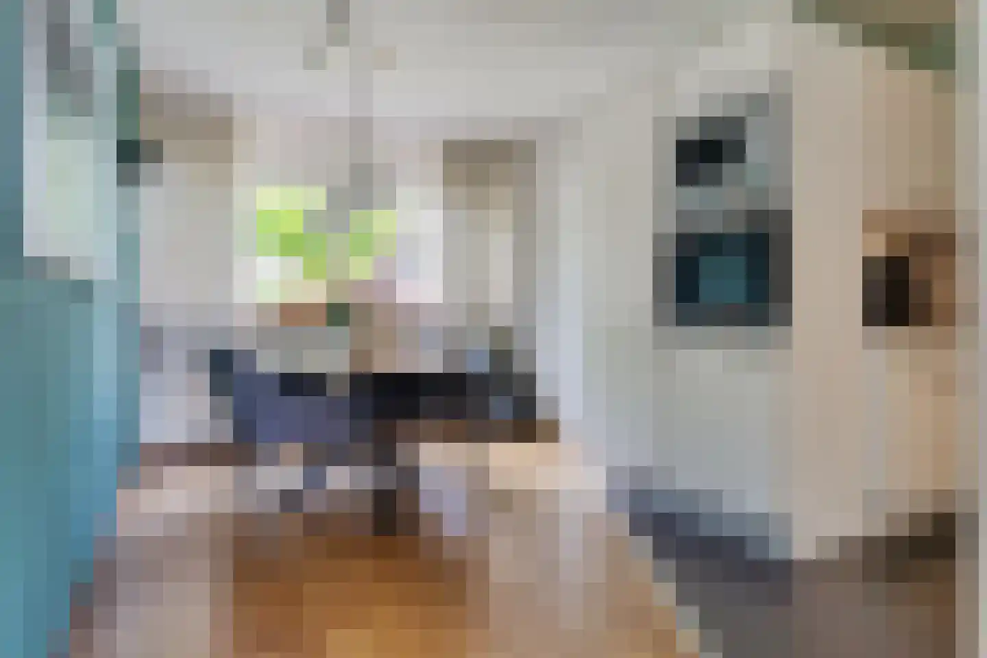 Krabbenbosweg 51 Hengelo thumbnail 18