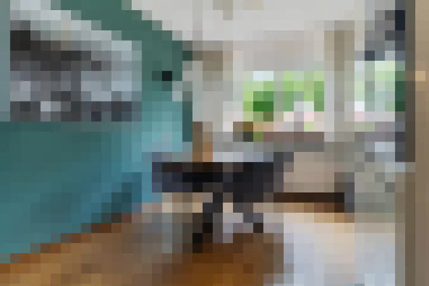 Krabbenbosweg 51 Hengelo thumbnail 19