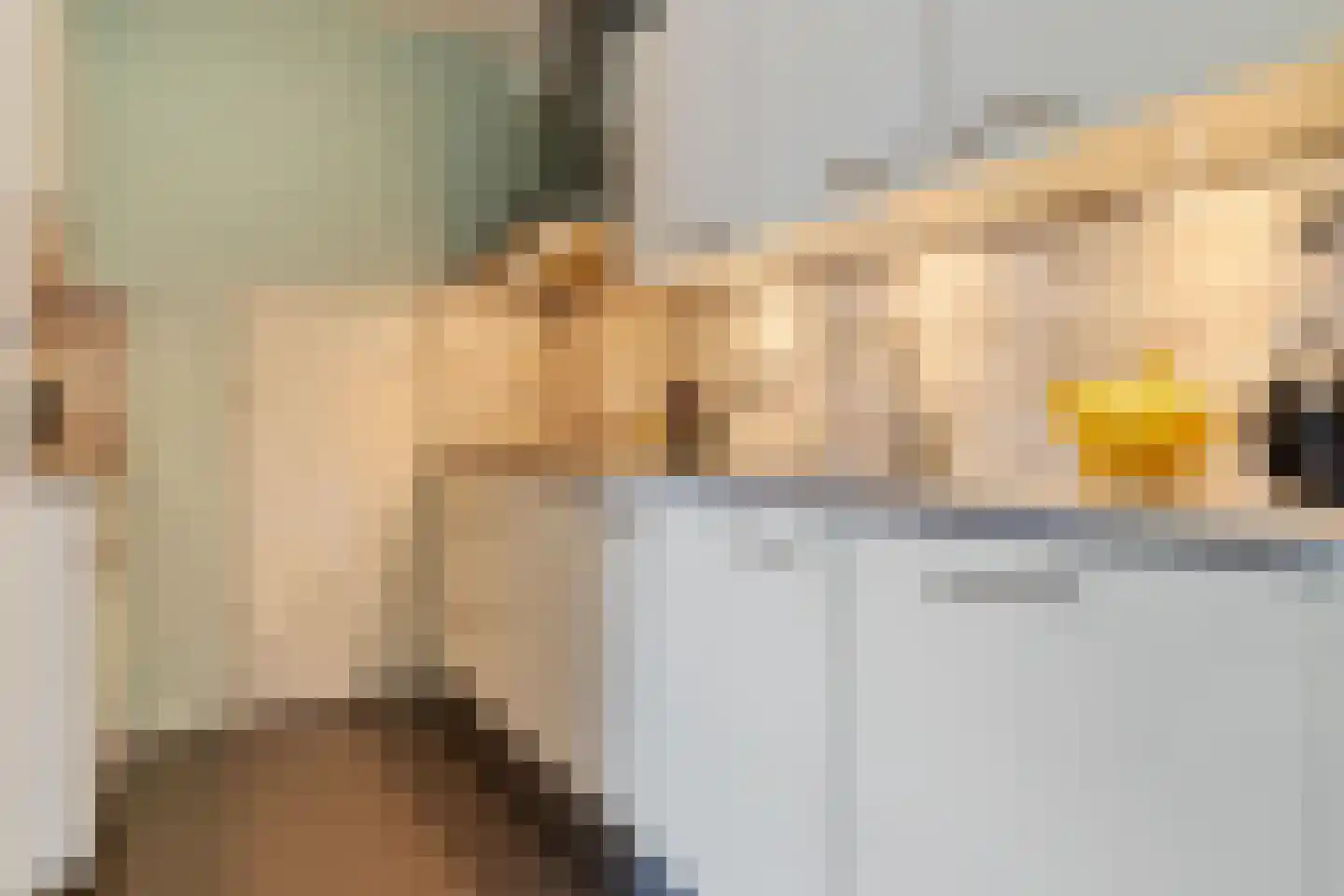 Krabbenbosweg 51 Hengelo thumbnail 20