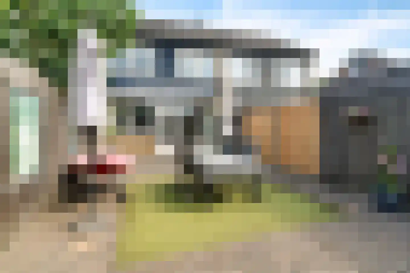 Krabbenbosweg 51 Hengelo thumbnail 43