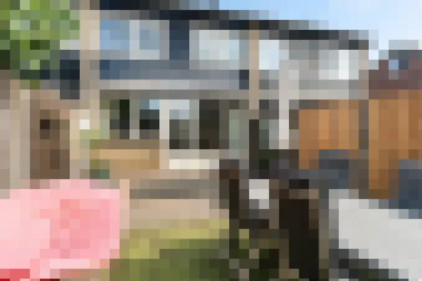 Krabbenbosweg 51 Hengelo thumbnail 44